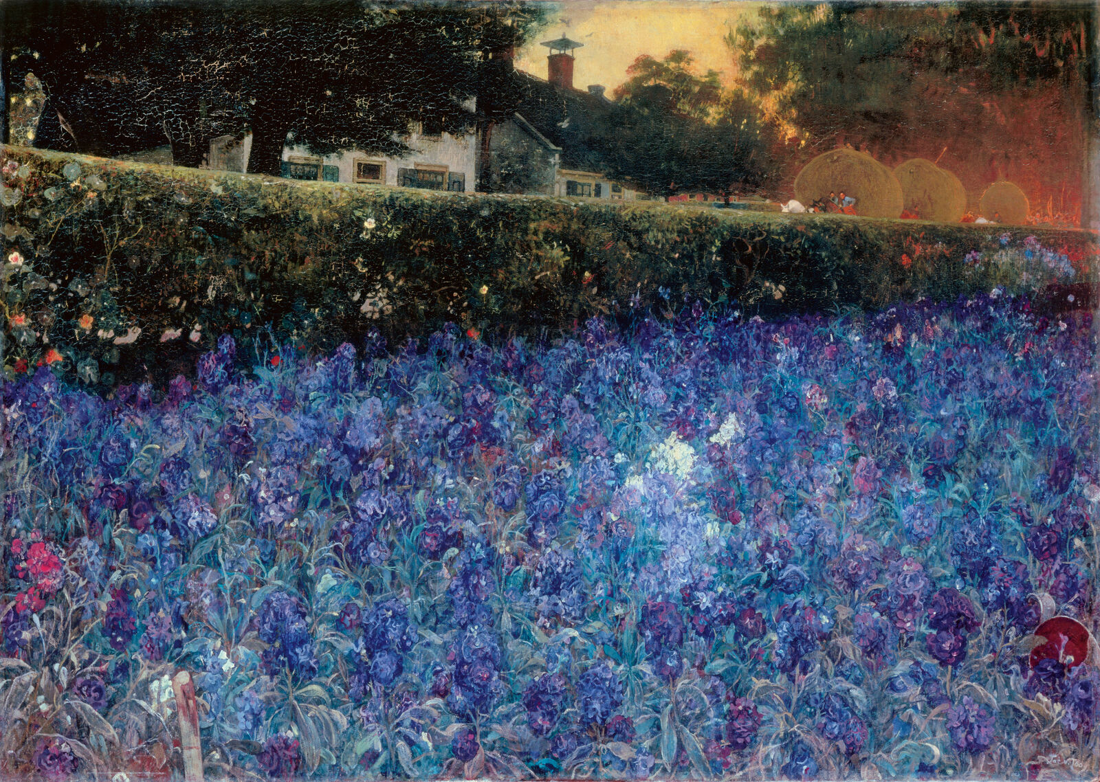 Lupine splendor in front, sweating farmers on hay wagons in the back