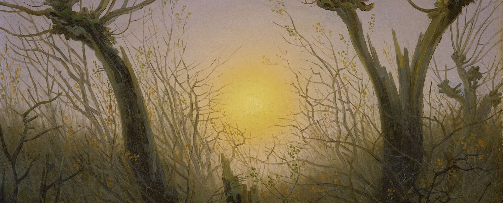Caspar David Friedrich
Weidengebüsch bei tiefstehender Sonne (Detail), 1832–1835
Freies Deutsches Hochstift / Frankfurter Goethe-Museum, Frankfurt am Main