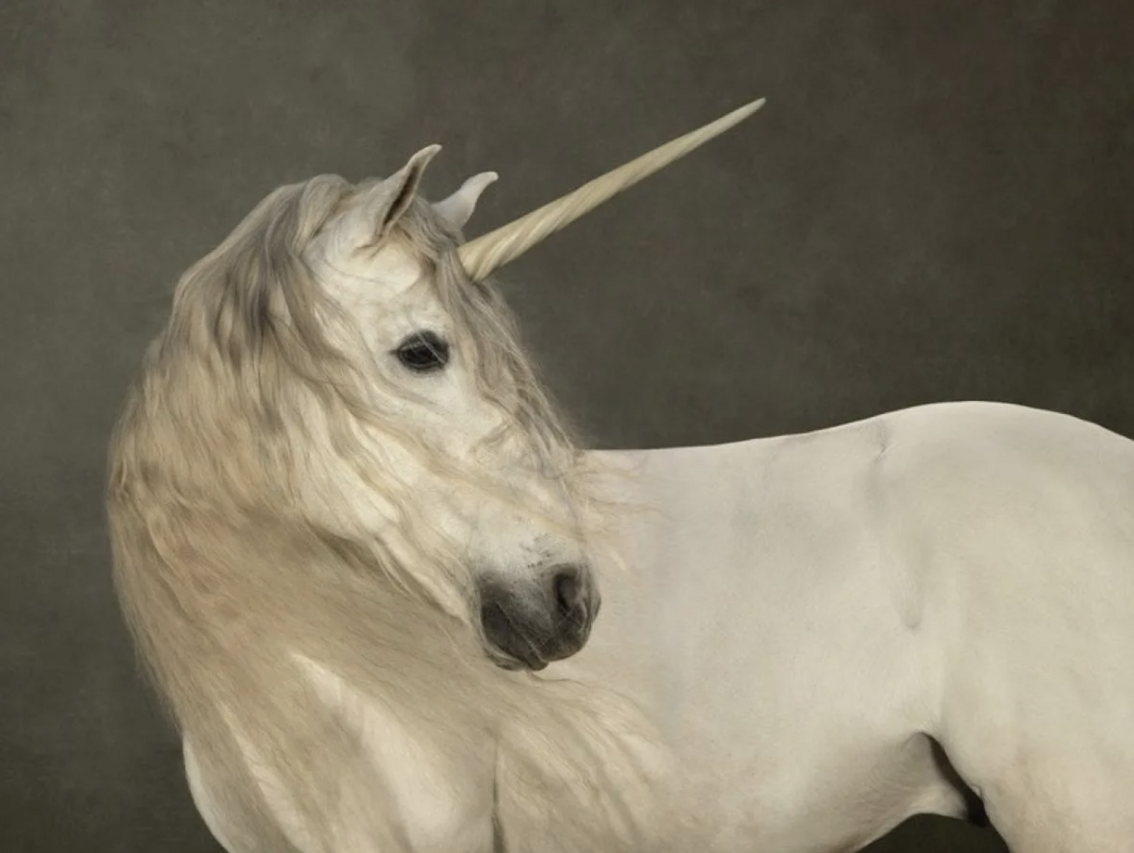 Marie Cécile Thijs: White Unicorn, ca. 2015
