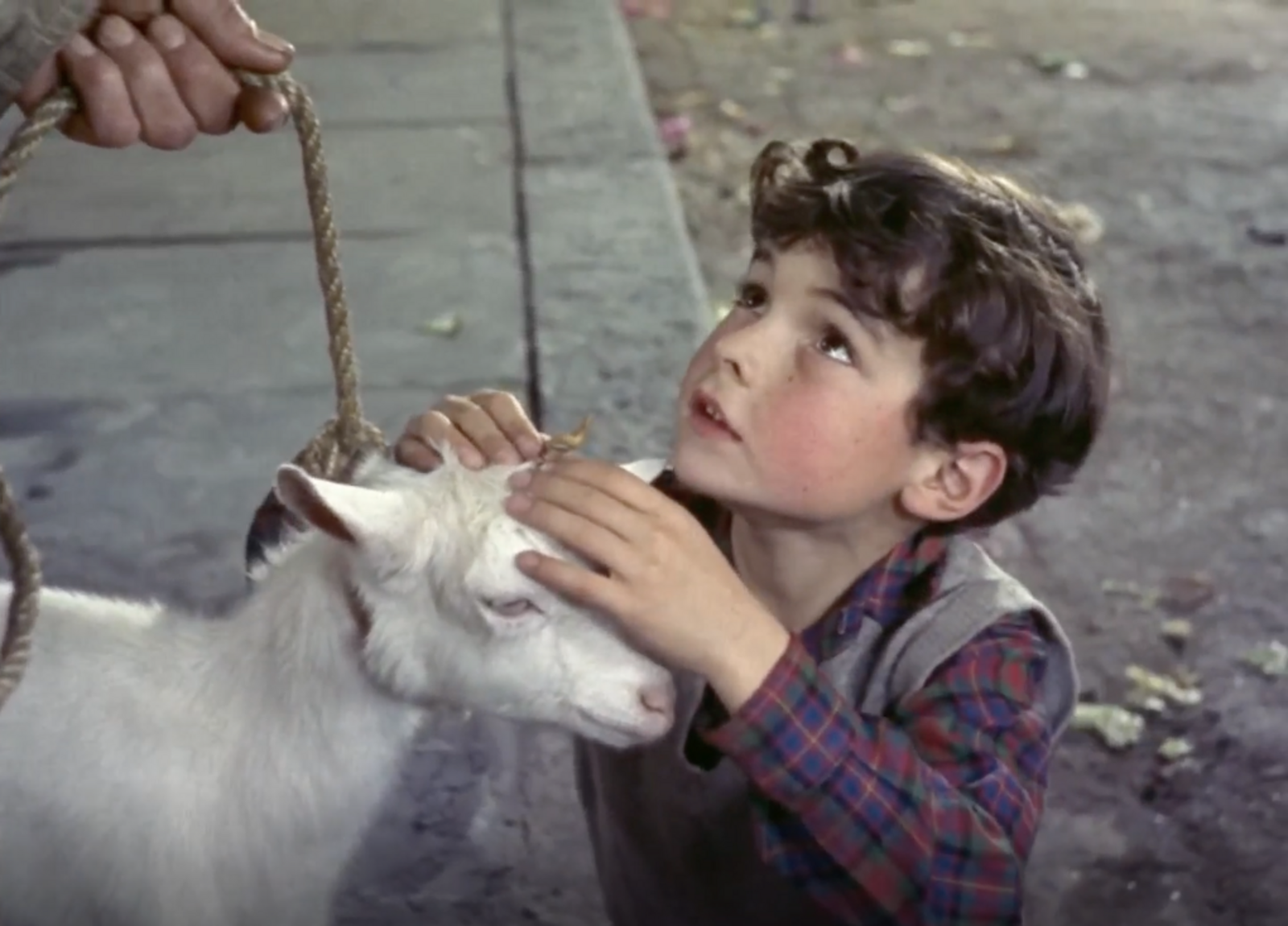 A Kid for Two Farthings, 1955