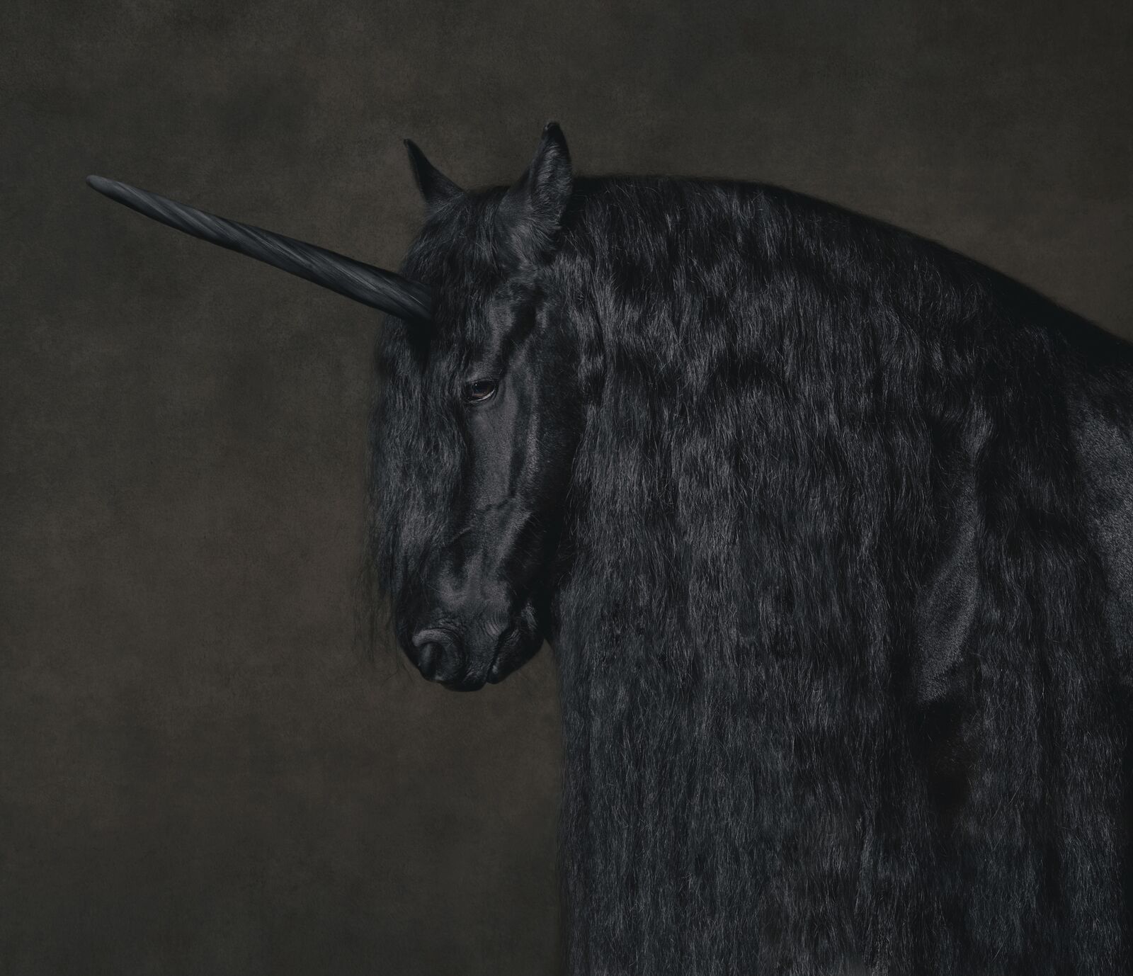 Self-confident: The unicorn portrayed by contemporary artist Marie Cecile Thijs.