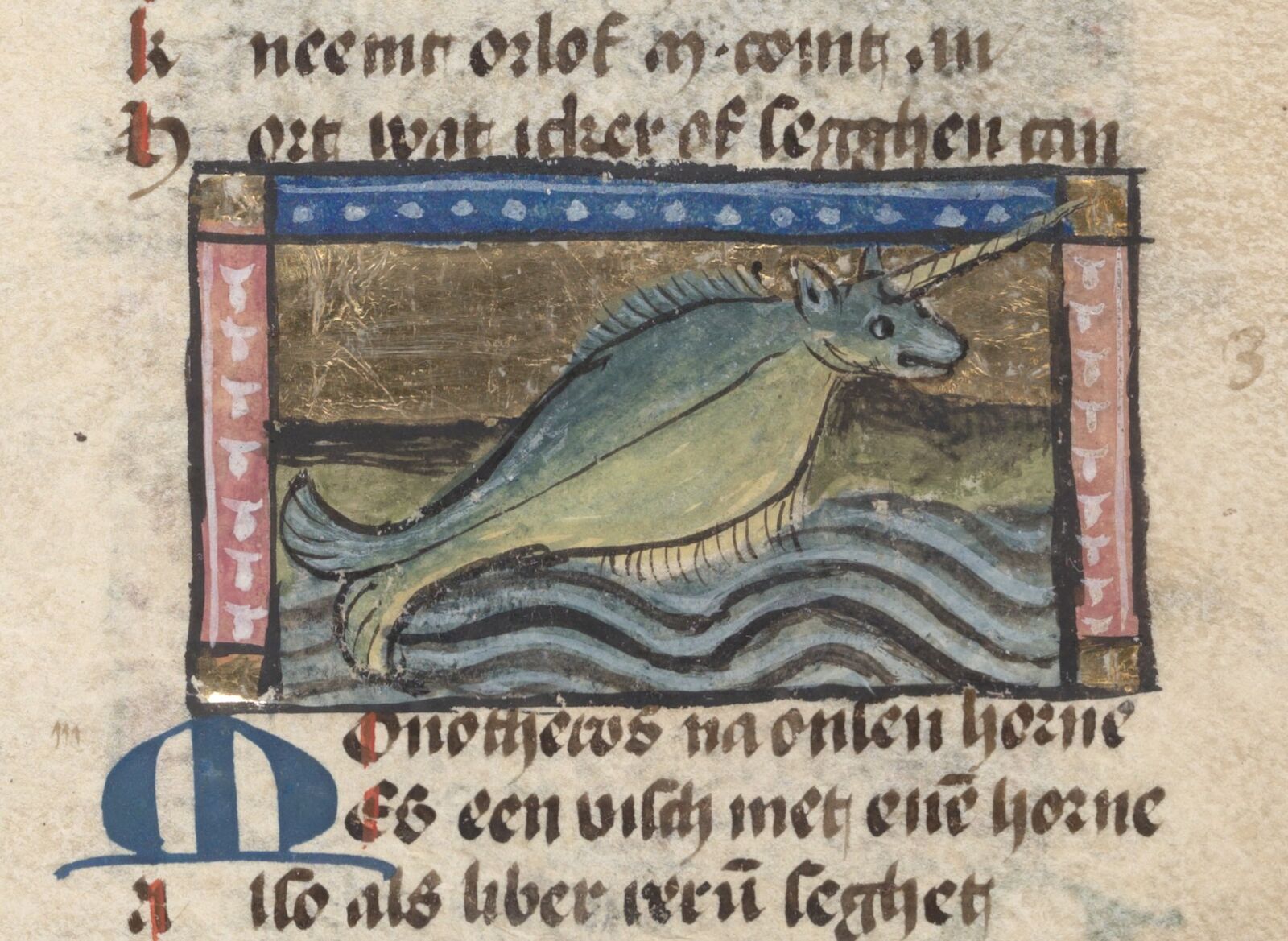 Colorful sea unicorn: a fifteenth-century illustration of a narwhal.