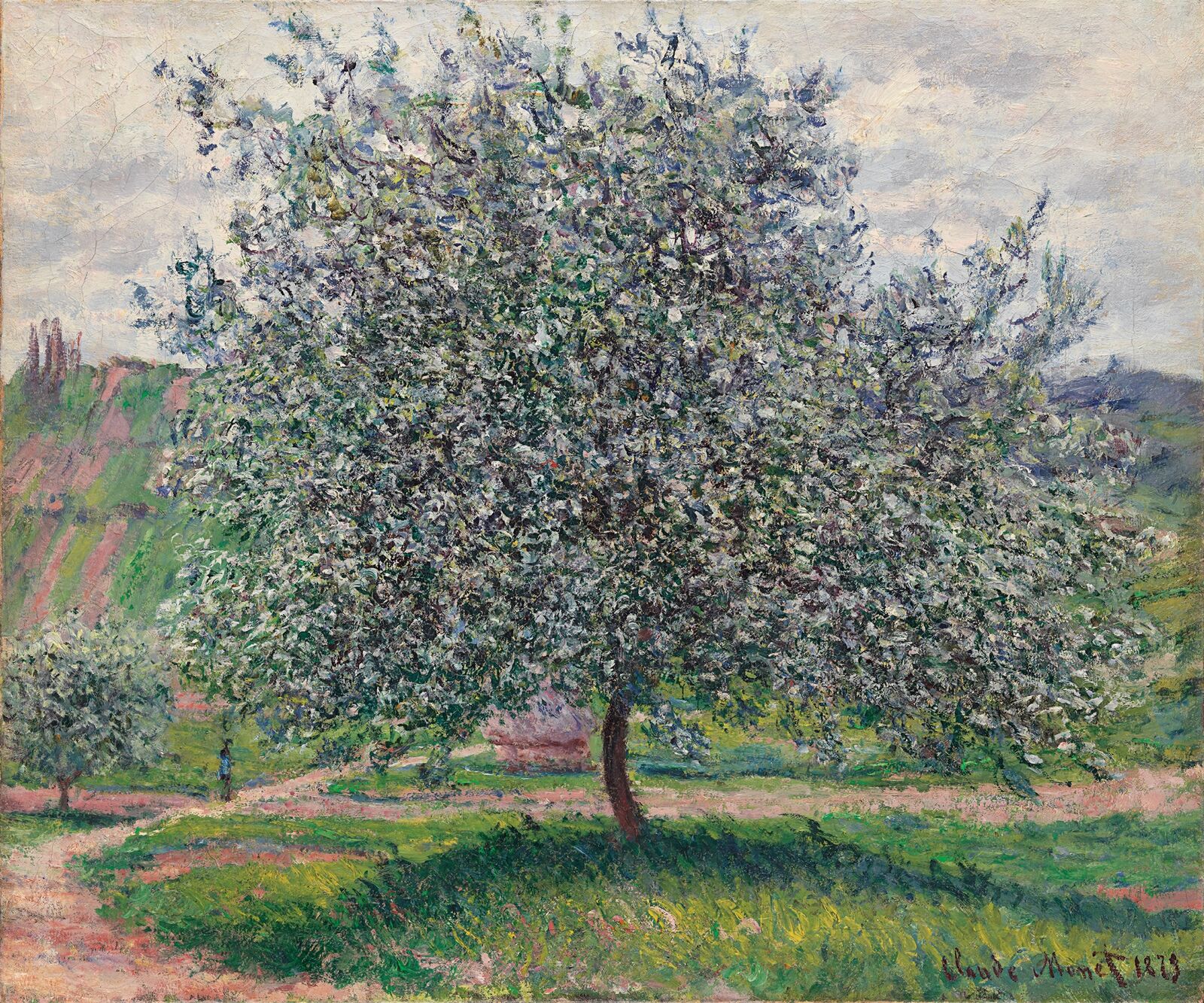 Claude Monet:  The Apple Tree,  1879