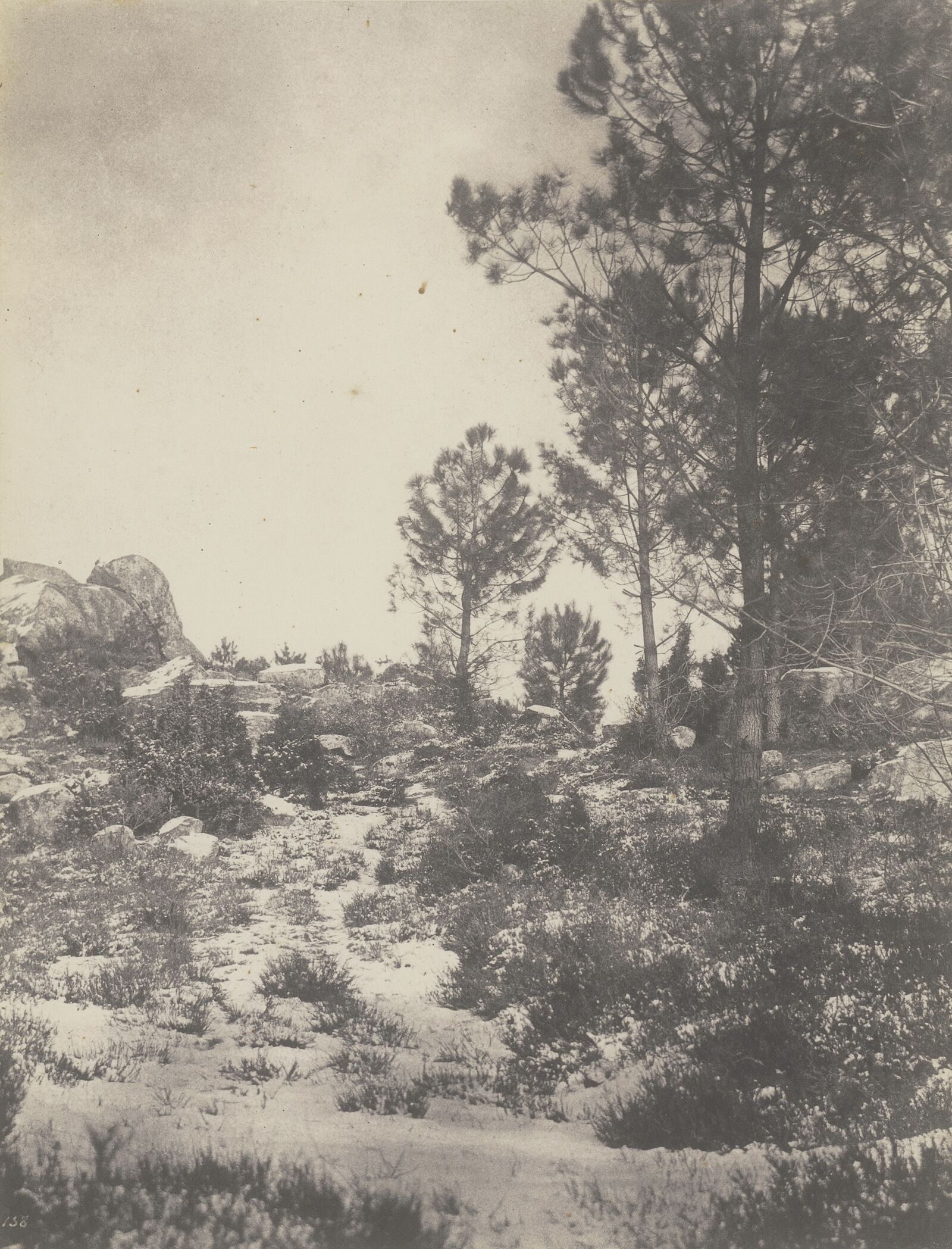  Hohe Bäume, schroffes Terrain: Für das Pariser Publikum war der Wald von Fontainebleau eine Gegenwelt zur städtischen Zivilisation. 
