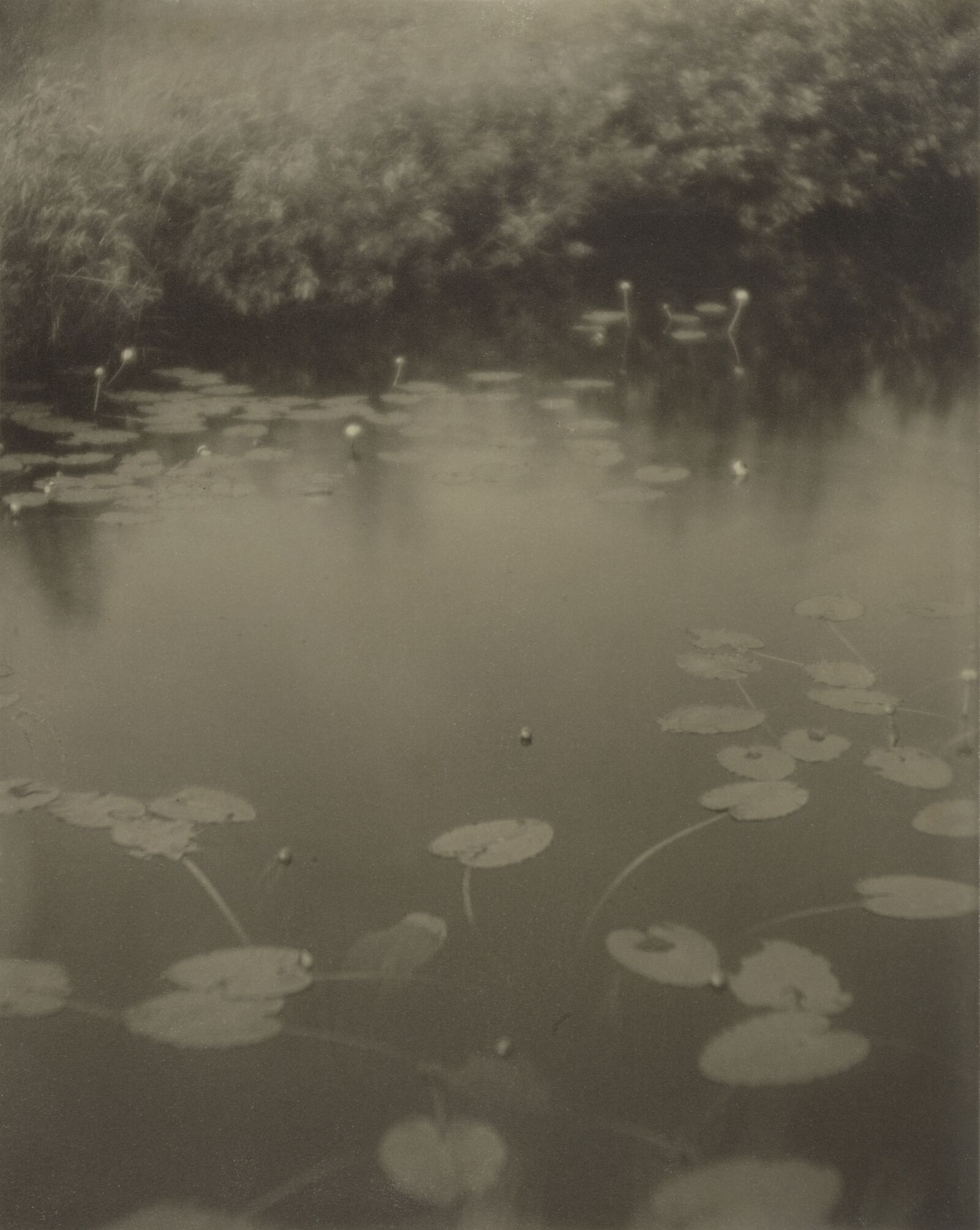  Wie Monet richtete der amerikanische Photograph Dwight A. Davis seinen Blick direkt auf die schimmerne Wasseroberfläche, die er in feinsten Graustufen einfing. 
