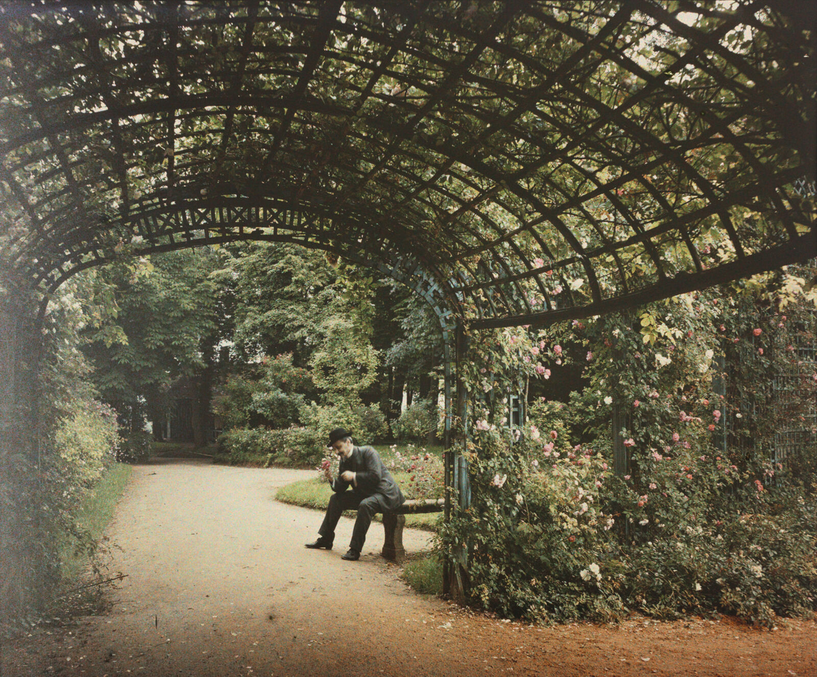 Durch eine berankte Gitterlaube geht der Blick in den sonnenbeschienen Garten: Das Auge der Photographin Louise Deglane ist am Impressionismus geschult.
