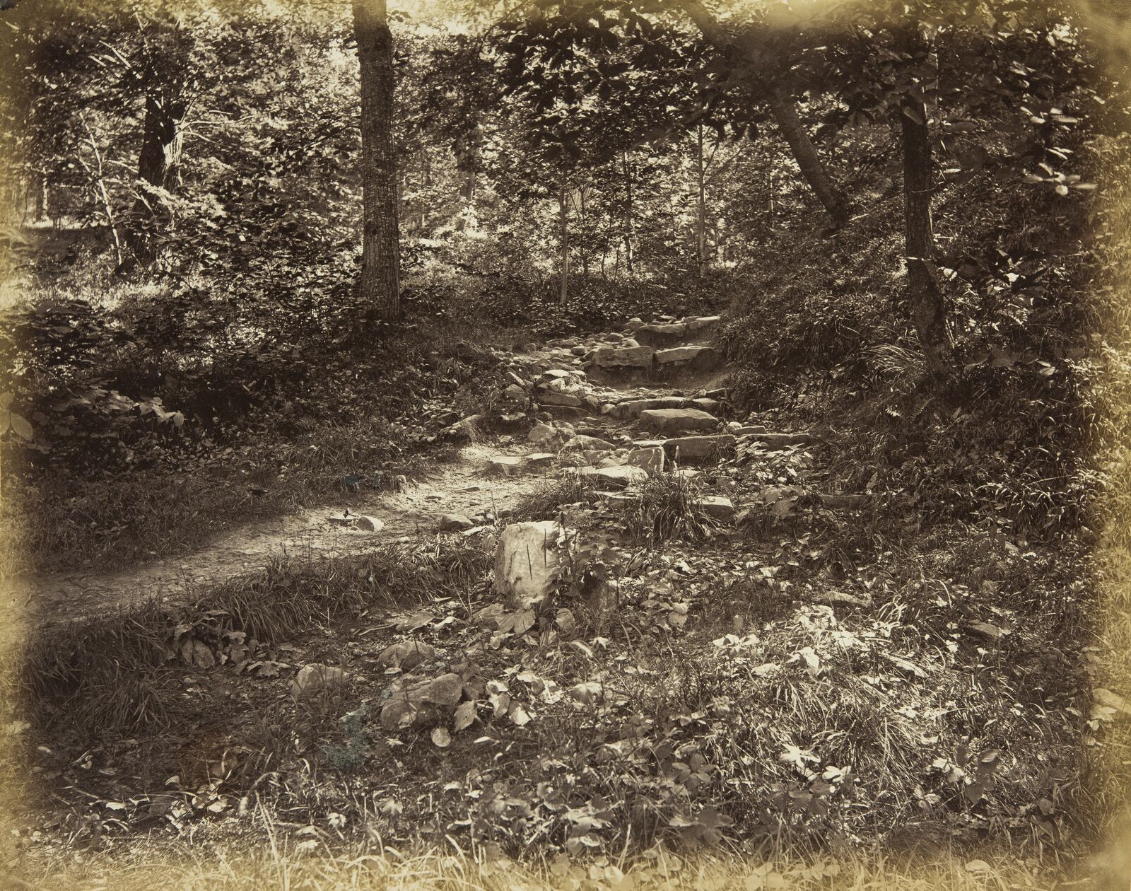 Ein Bild wie ein Waldspaziergang: Das fein differenzierte Lichtspiel führt den Blick in Georg Maria Eckerts Mittelgrundstudie - Felsiger Weg im Walde in die Tiefe.