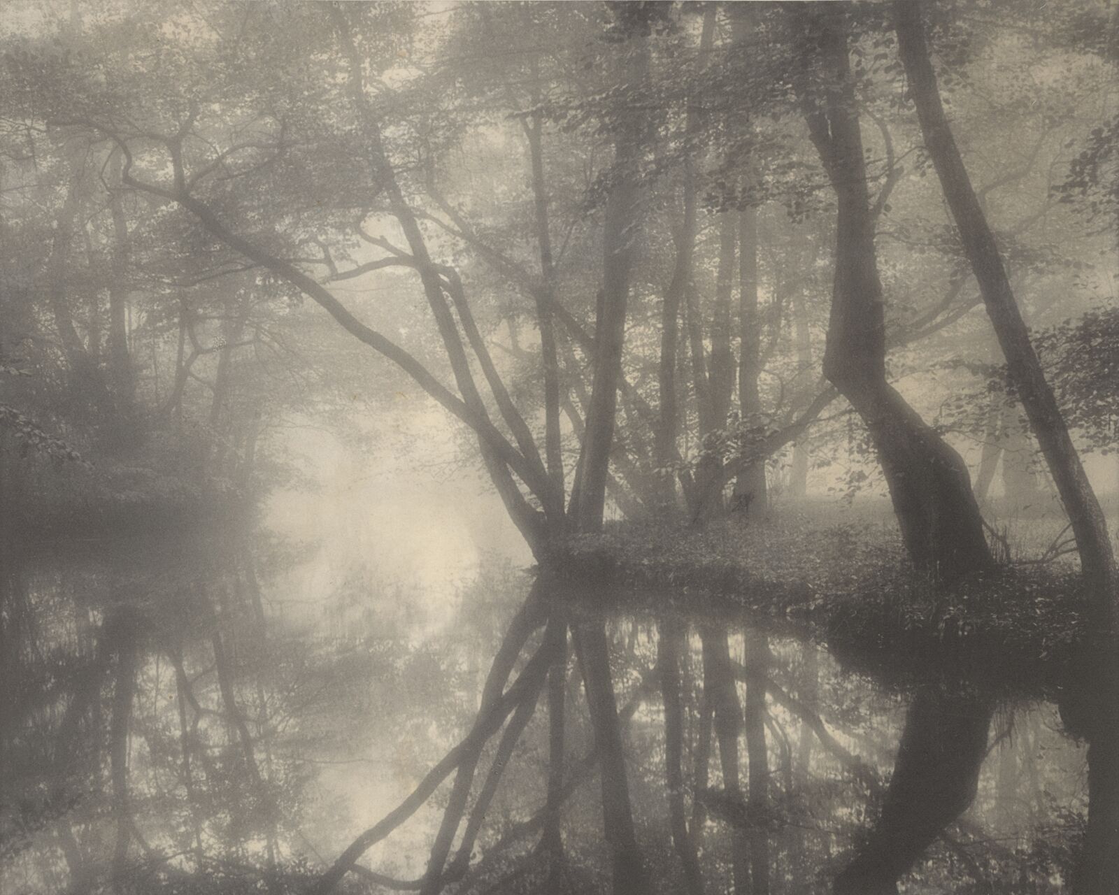  Der dänische Kunstphotograph&nbsp;Carl Frederiksen nutzte den Gegenlichteffekt brillant. 
