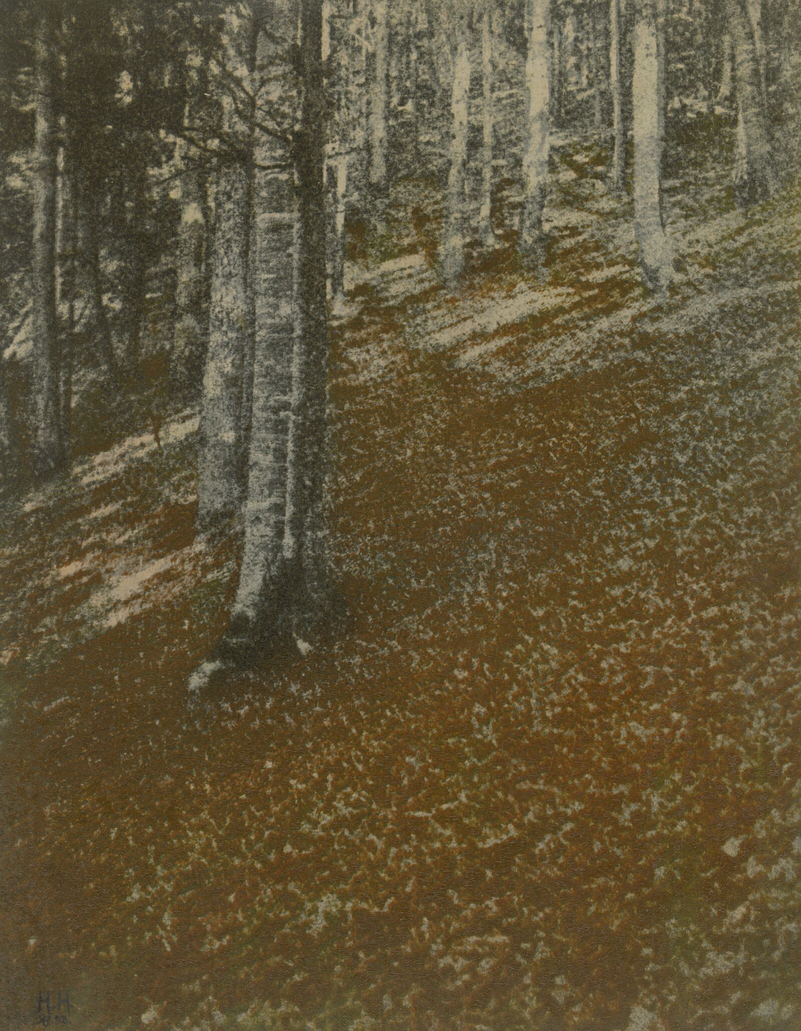 Wie gemalt? Der deutsche Photograph Hugo Henneberg erzielte durch aufwendige Edeldruckverfahren verblüffende Effekte.