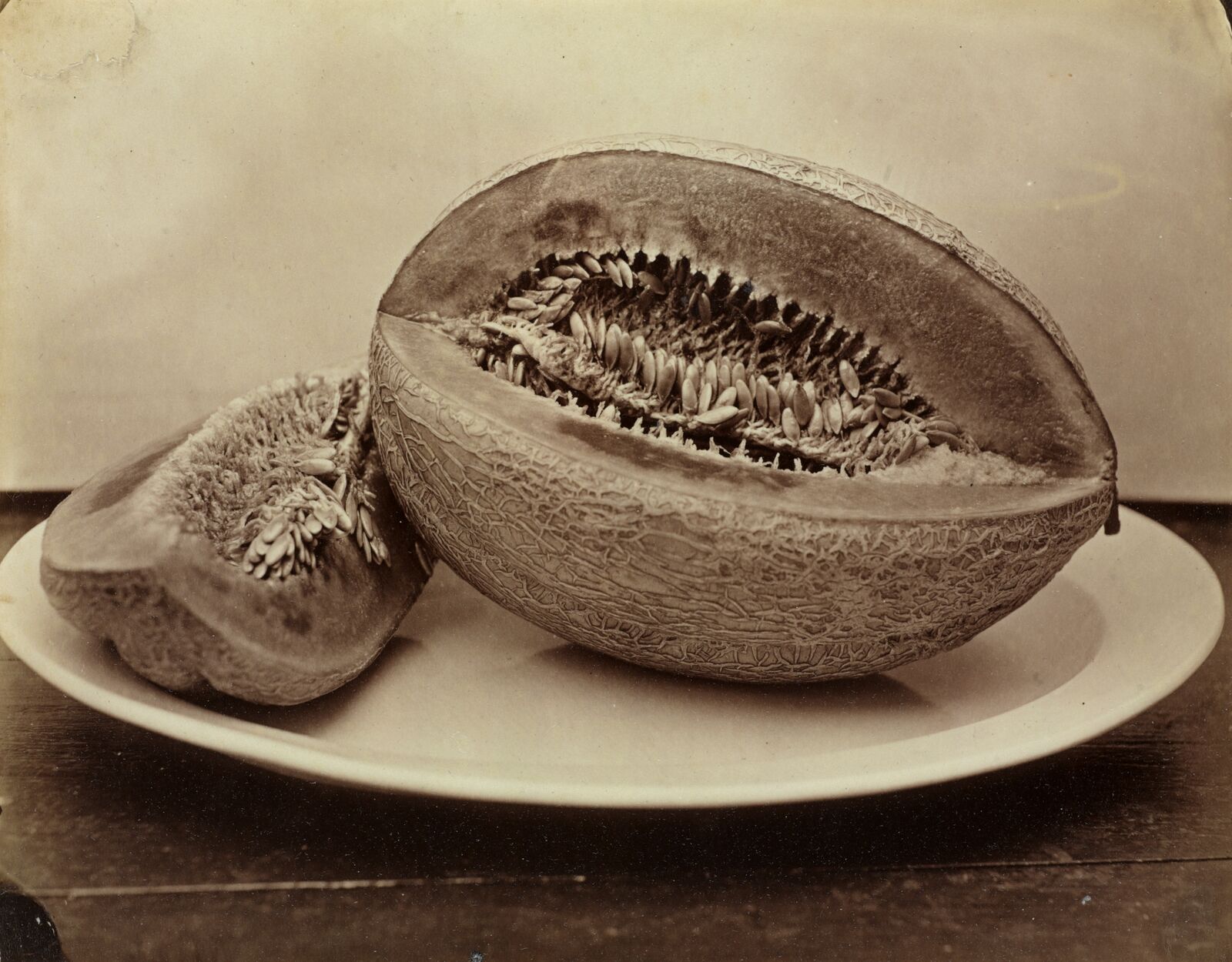 Appetit auf Melone? Der deutsche Photograph August Kotzsch vertrieb seine kühlen, sachbezogenen Aufnahmen bis nach New York.