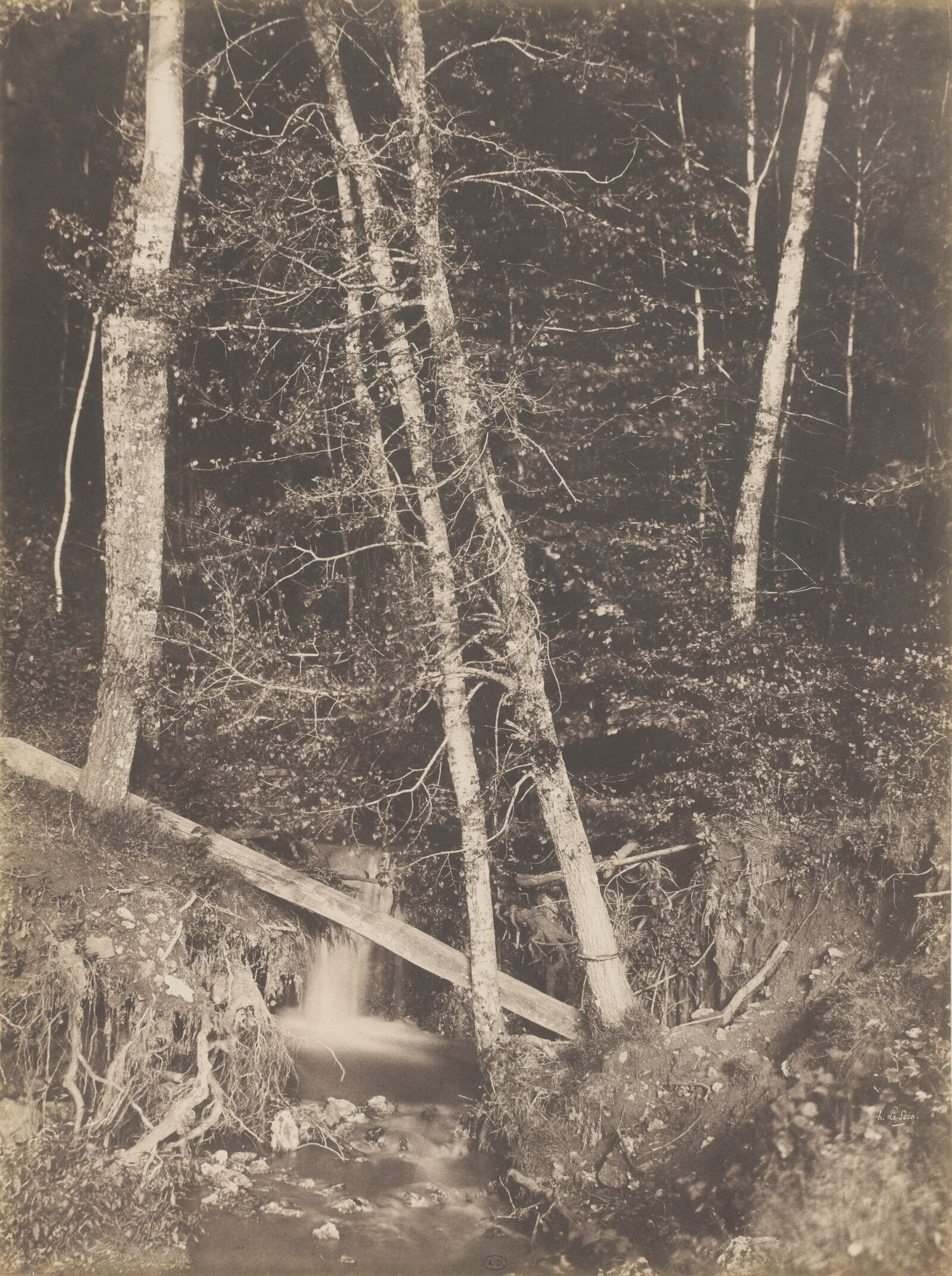 Der plätschernde Wasserlauf in der Aufnahme Henri Le Secqs erscheint durch die lange Belichtungszeit verwischt: wie eingefroren. Alles andere ist gestochen scharf erfasst.