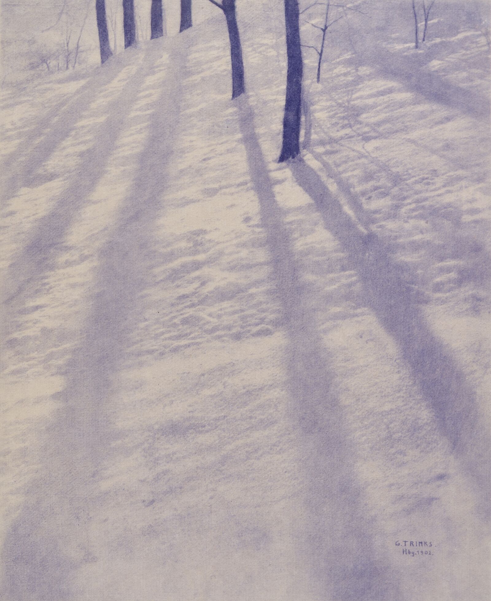 Farbige Schatten nannte der Amateurphotograph Trinks seine Winterimpression. Die langgezogenen Baumschatten der tiefstehenden Wintersonne wirken fast abstrakt. 