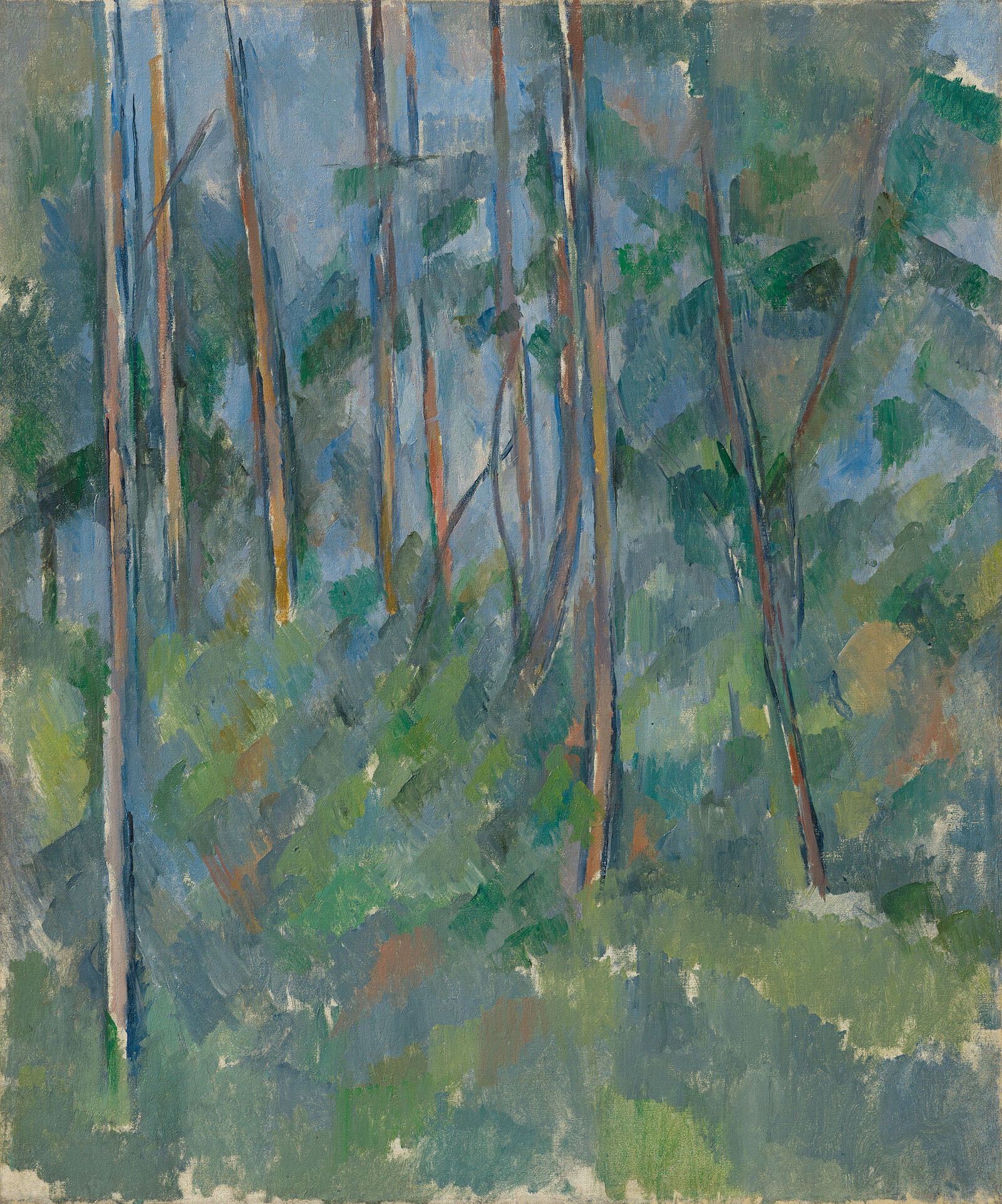 Paul Cézanne:  Forest Interior,  1897–98