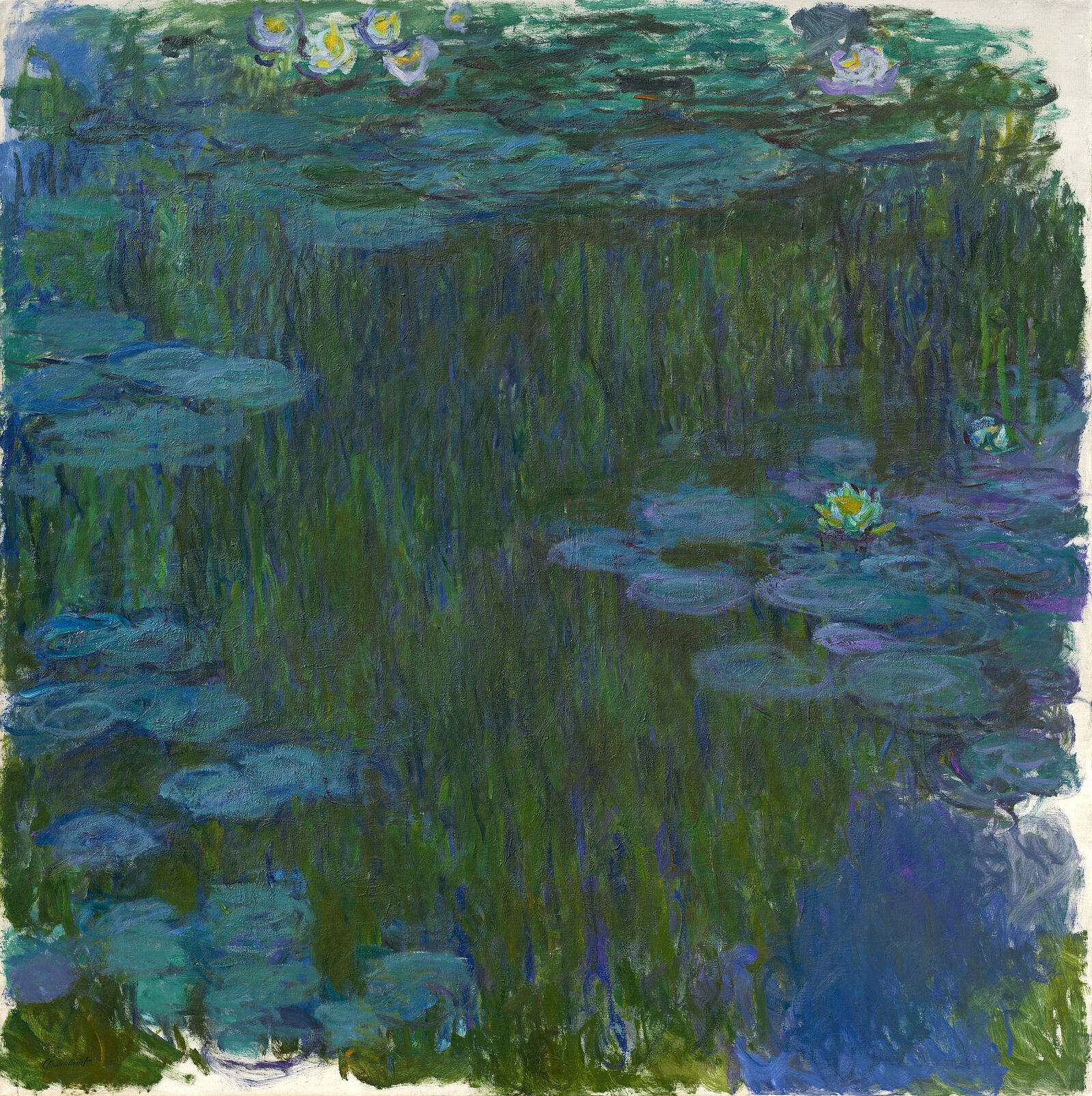 Es faszinierte Künstler und Kritiker, dass Claude Monet in seinen monumentalen Seerosenbildern offenbar vorweggenommen hatte, wonach sie strebten – ein neues Verhältnis zum Betrachter durch die Größe, Flächigkeit und Ausschnitthaftigkeit der Werke.
