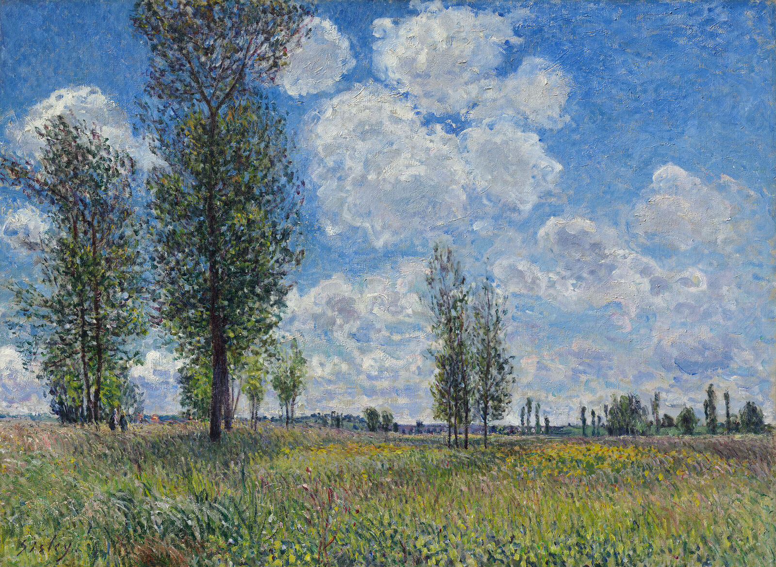 Alfred Sisley:  Wiesen von Veneux-Nadon,  1881